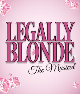 Legally Blonde Auditions